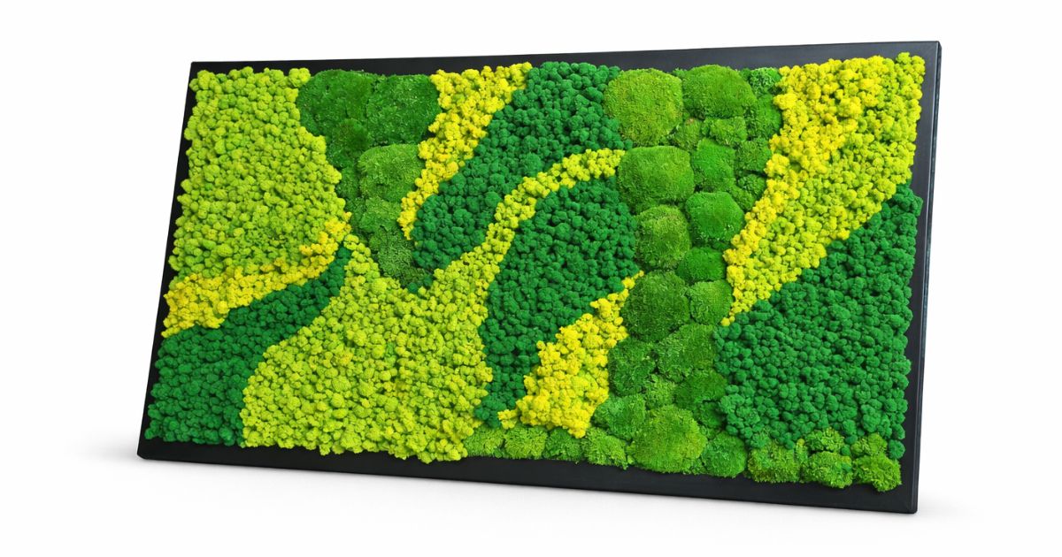 Ile kosztuje obraz z mchu – ceny, rodzaje i personalizacja